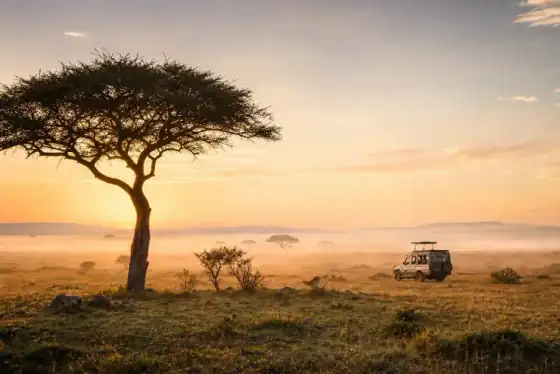 Tansania Safari 5 Tage in Tansania